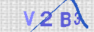 Type the 4-digit alphanumeric security code in the input field