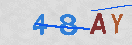 Type the 4-digit alphanumeric security code in the input field